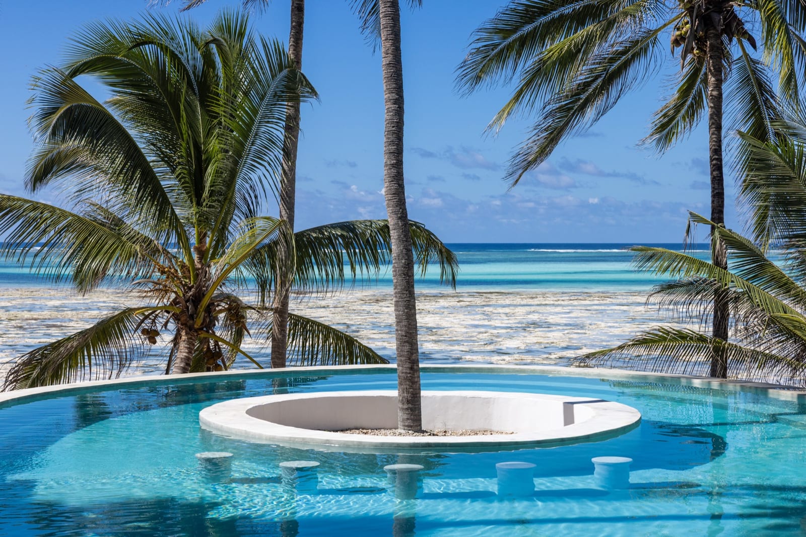 The pool at Asili House in daylight, palms, white sand and the turquoise Indian Ocean beyond